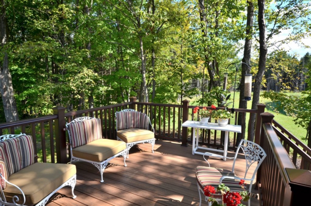 Deck and surrounding woods